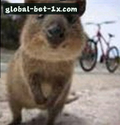 孙浩